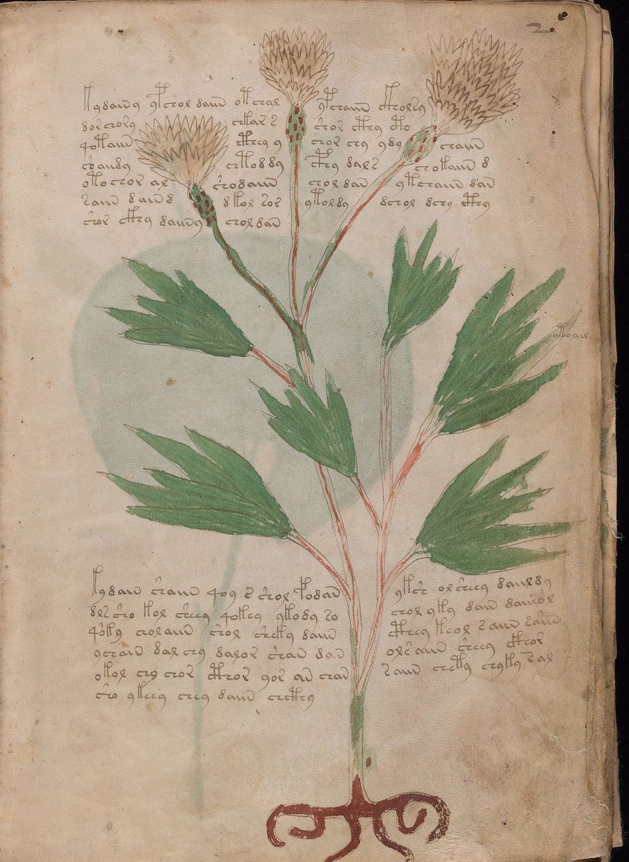 «Il manoscritto Voynich è azteco». Che cosa resta dell'ipotesi di Tucker e Talbert