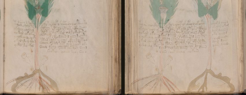 Лист f38: нижняя половина лица, наложенная на оборот в зеркале и без зеркала